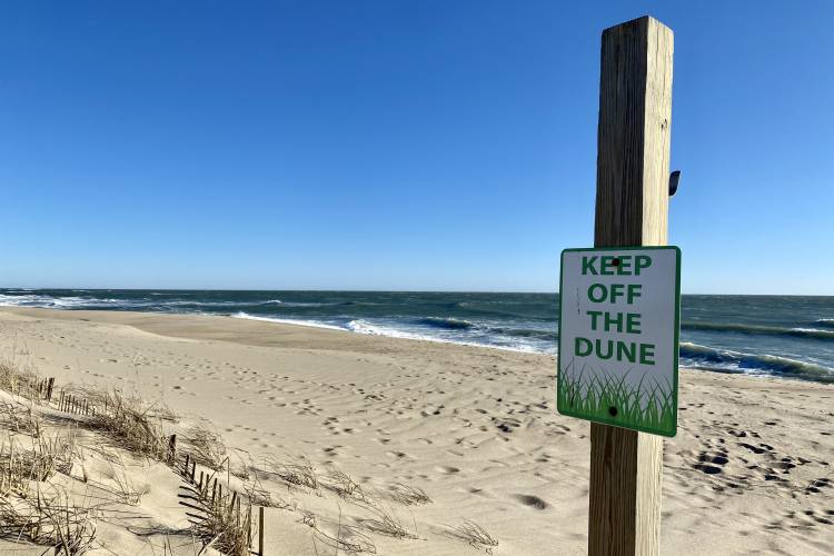 Protecting The Dunes of Martha's Vineyard