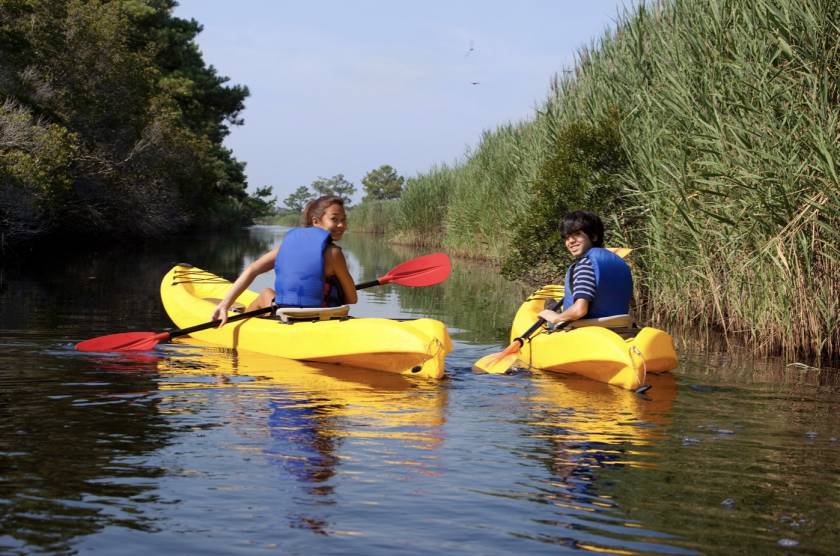 Kayaking Martha's Vineyard